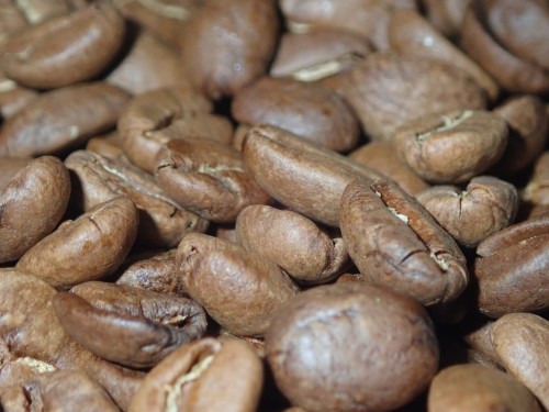 java blavan1.JPG