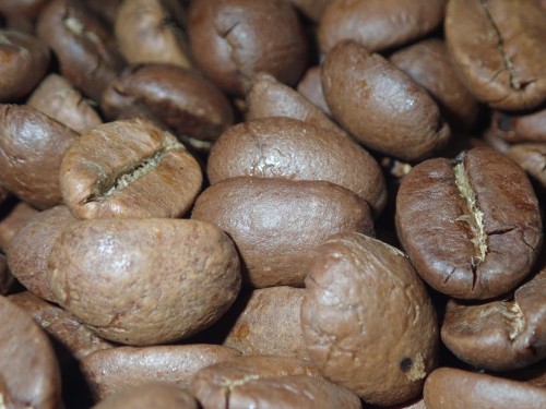 indie mysore nugget1.JPG