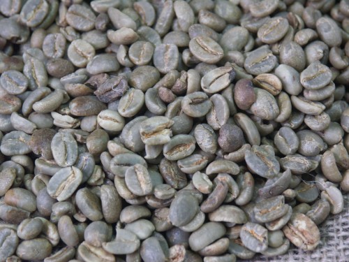 sur-kivu.JPG