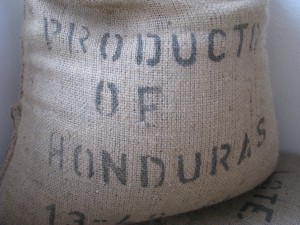 HONDURAS SHG