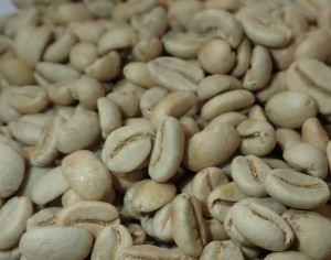 ETIOPIA LIMU