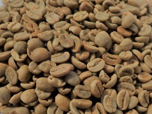 BRAZYLIA YELLOW BOURBON