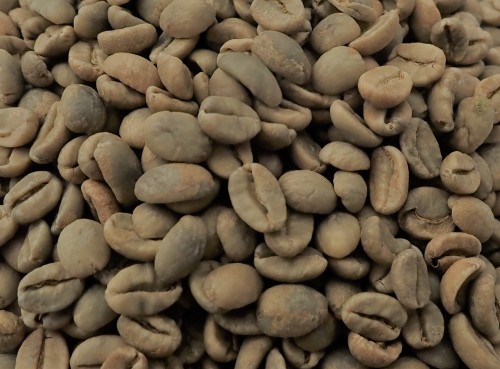 java jampit.jpg