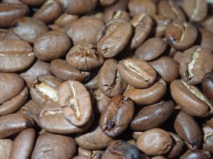 KONGO KIVU