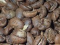 malawi1.JPG