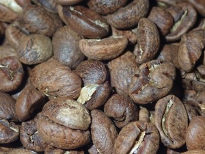MALAWI AA