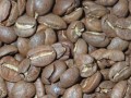 java jampit2.JPG