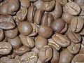 java blavan2.JPG