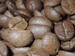 INDIE MYSORE NUGGET