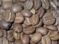 indie mysore nugget2.JPG